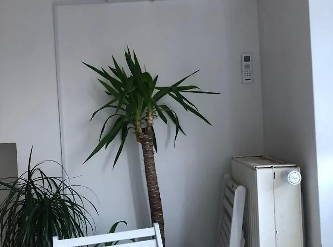 Industrial 1 Apartment